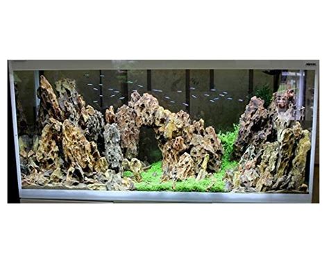 Dragon Stone | ECOAquariums