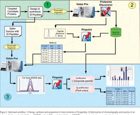 Figure 1 From Absolute Quantification Of Eicosanoid Pathway Proteins