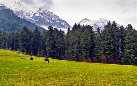 14 Best Places To Visit In Pahalgam Jammu And Kashmir Tour My India