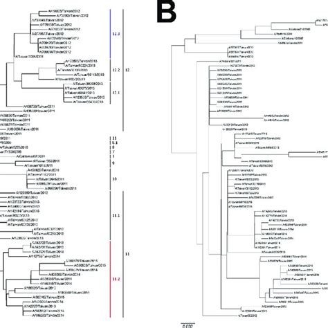 Phylogenetic Relationships Of The Full Length Hemagglutinin Gene A