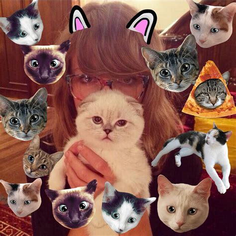 Taylor Swift And Her Cats