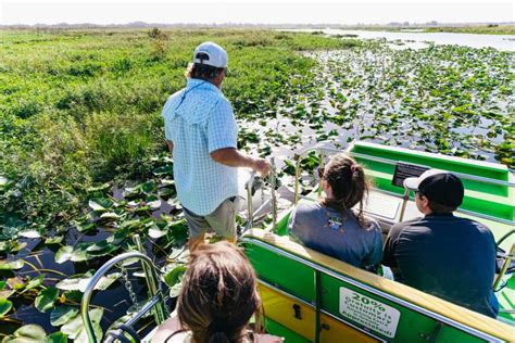 Orlando 90 Minute Airboat Everglades Adventure Tour Getyourguide