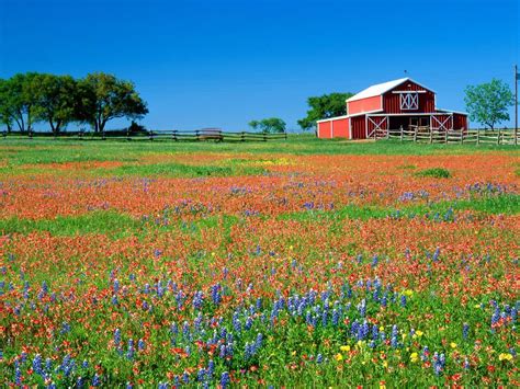 Texas Country Desktop Wallpapers Top Free Texas Country Desktop