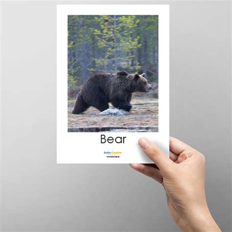 guess the animal list 5