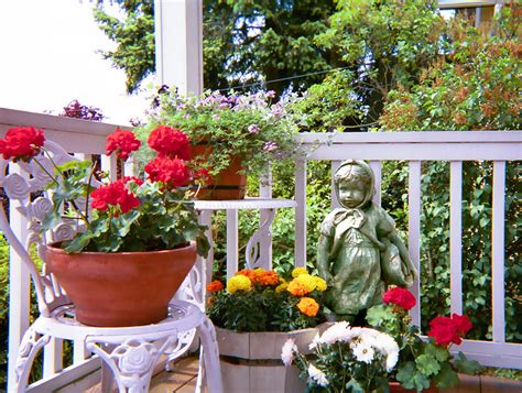 Front Porch Plants No Sun | Home Design Ideas