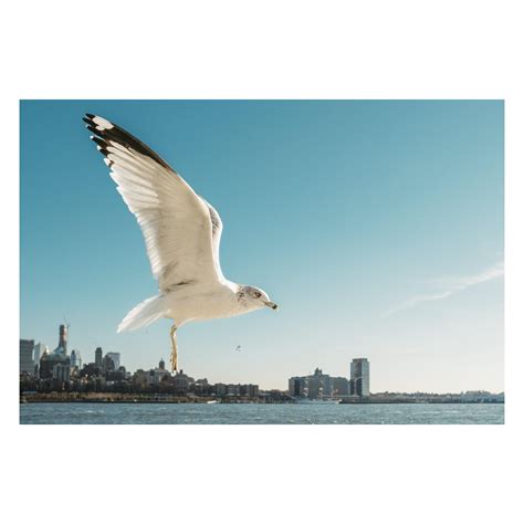 Major waterfront developments will soon reshape the look of EAST RIVER NYC 17