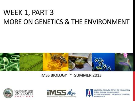 Ppt Week Part More On Genetics The Environment Powerpoint