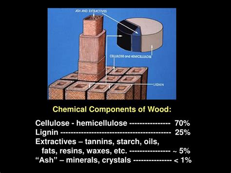 PPT Wood Structure And Processing PowerPoint Presentation Free