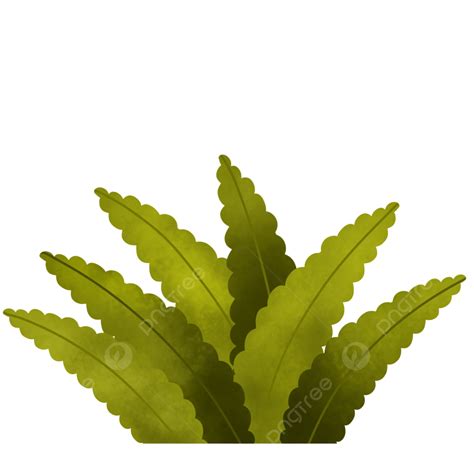 Ilustração De Folhas Verdes Png Relva Verde Plantar Imagem Png E Psd Para Download Gratuito