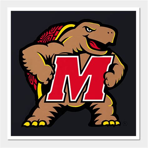 Womens Maryland Terrapins Terps Womens Ncaa Wall And Art Print | Womens Maryland Terrapins Terps ...