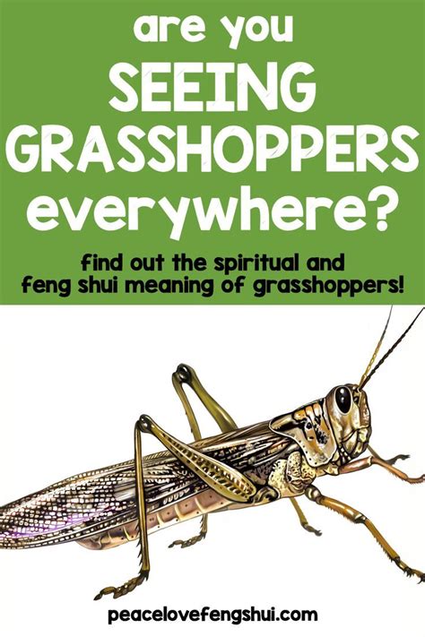 grasshopper symbolism and meaning | Grasshopper, Meant to be, Feng shui