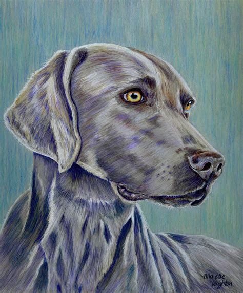 Weimaraner Grey Ghost Painting By Michelle Wrighton Fine Art America