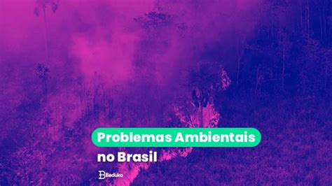 Quais S O Os Problemas Ambientais No Brasil Conhe A Os Principais