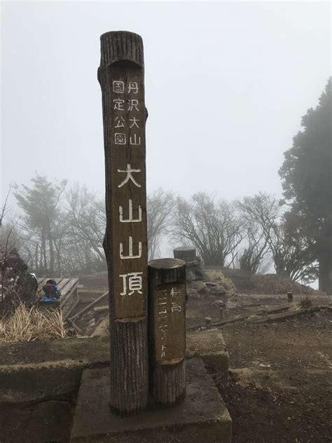 大山詣りに行ってきました よこたんさんの大山（神奈川県）の活動データ Yamap ヤマップ