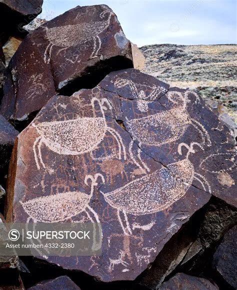 Highly Stylized Coso Range Desert Bighorn Sheep Petroglyphs Department