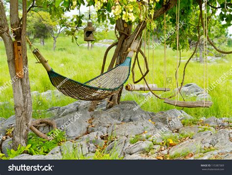 Rattan Hammock Hanging On Tree Green Stock Photo 115387369 Shutterstock