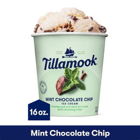 Tillamook Mint Chocolate Chip Ice Cream 16 Oz Kroger