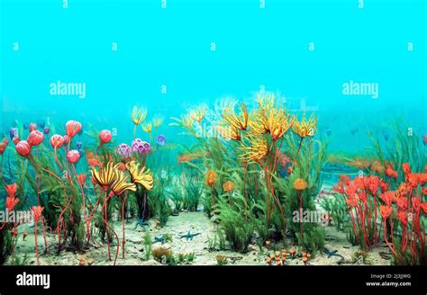 Ancient Carboniferous Sea Stock Photo - Alamy