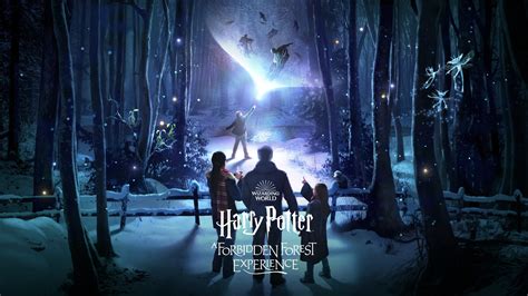 Download Free 100 The Forbidden Forest Harry Potter Wallpapers