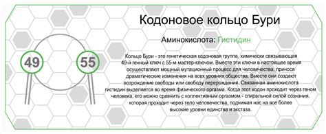 55 Генный ключ: Мечта стрекозы