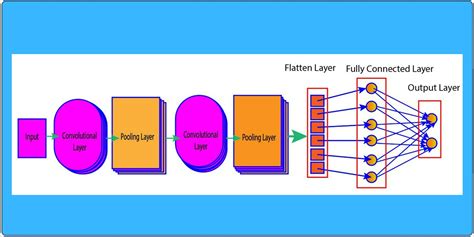 The Ultimate Guide To Convolutional Neural Networks For Beginners