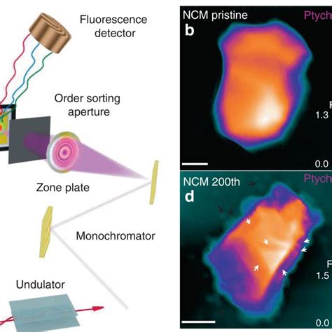 Simultaneous X Ray Fluorescence And Ptychography A Experimental