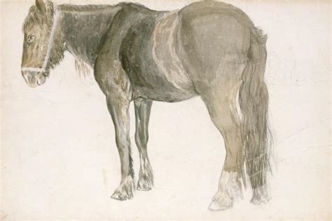 Reproduções De Pinturas Um cavalo de fazenda por John Frederick Lewis