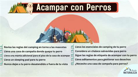 Acampar Con Perros Tips Para Ir De Camping Con Tu Perro