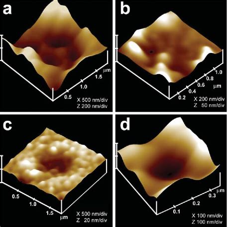 Figure From Structure And Composition Of The Fusion Pore Semantic