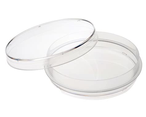 100mm x 20mm Petri Dish - Bellco Glass | Laboratory Glassware