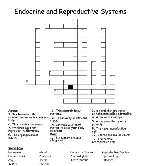 Endocrine And Reproductive Systems Crossword Wordmint