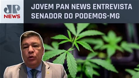 Carlos Viana Analisa Decisão Do Stf Sobre Descriminalização Da Maconha “nós Já Esperávamos