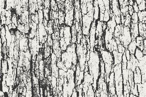 Tree Bark Vector Textures – GhostlyPixels