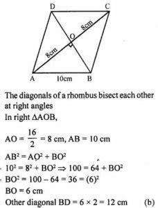 ML Aggarwal Pythagoras Theorem MCQs Class 9 ICSE Maths Solutions ICSEHELP