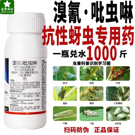 Pesticide Deltamethrin Imidacloprid Resistant Aphid Yellow Peach Aphid