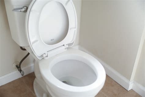 How to Unclog a Toilet: The Ultimate Guide - Hunter Games Magazine