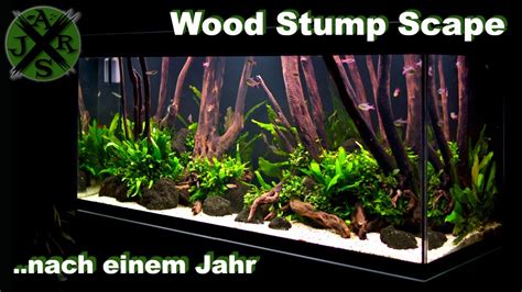 Oase Highline Aquarium Update Jr Aquascaping Youtube