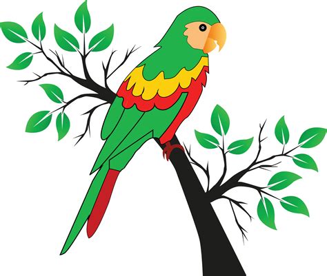 vector Parrot Drawing 29337556 Vector Art at Vecteezy