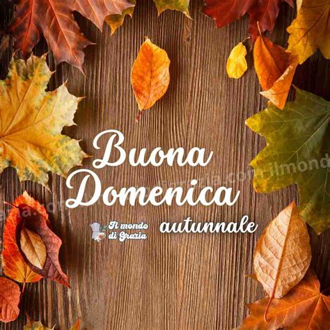 Buona Domenica Autunnale Immagini Ilmondodigrazia