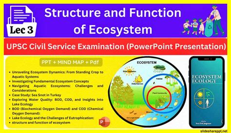 Structure And Function Of Ecosystem Ppt Slidesharepptnet