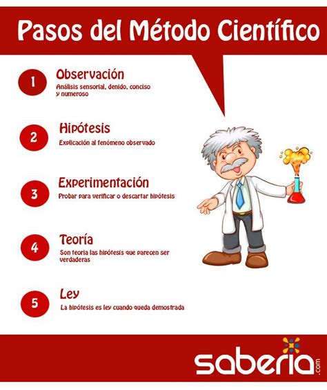 Pasos Del Metodo Cientifico Cuales Son Con Explicaciones Toda