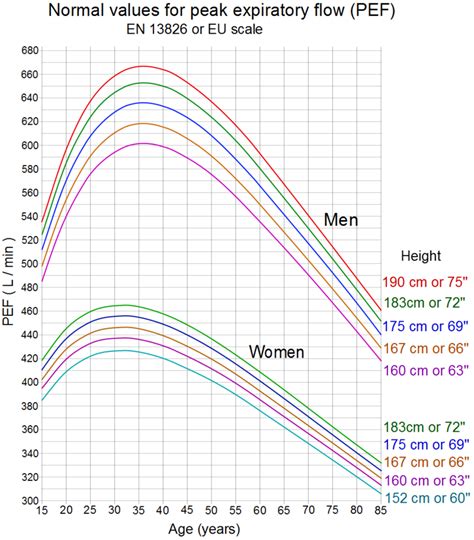 Peak Flow Chart Adults Flowchart Examples