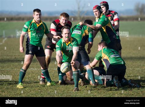 Rugby Scrum Half In Action Dorset England Stock Photo Alamy