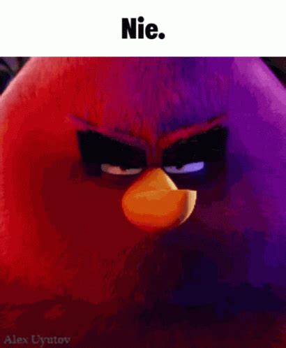 Angry Birds Nie GIF – Angry Birds Nie Angrybird – discover and share GIFs