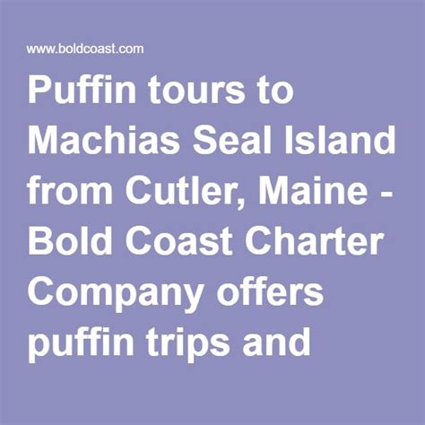 Puffin tours to Machias Seal Island from Cutler, Maine | Machias, Maine ...