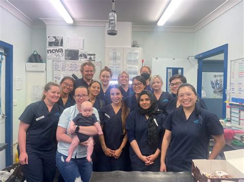 How to Reach Concord Hospital Sydney by Bus, Train, or Ferry 2