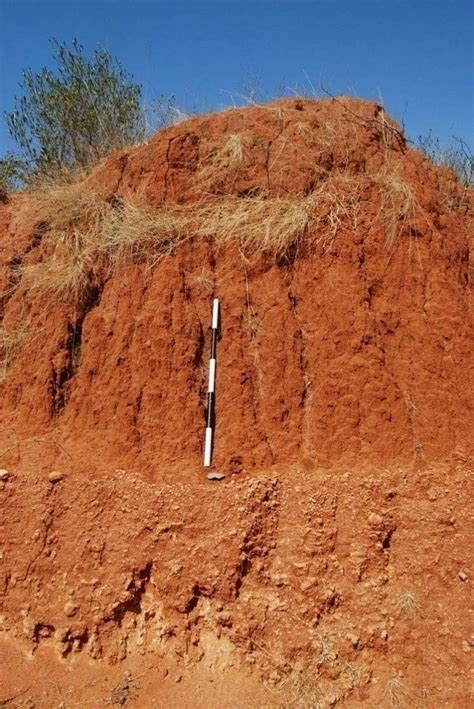 Calcretized Sandy Silt Overlain By A 2 Sand Dunes Download Scientific