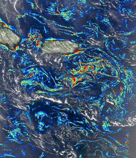 Sargassum Seaweed 2024 Forecast Florida - Aggy Lonnie