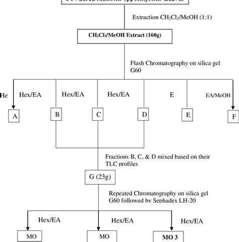 Phytochemical Analysis And Antifungal Property Of Mallotus