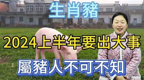 生肖豬！2024年上半年要出大事！危險兆頭！屬豬人早做准備應對！渡過劫難！事事順利！財源滾滾來！運勢 佛教 風水 2024 Youtube